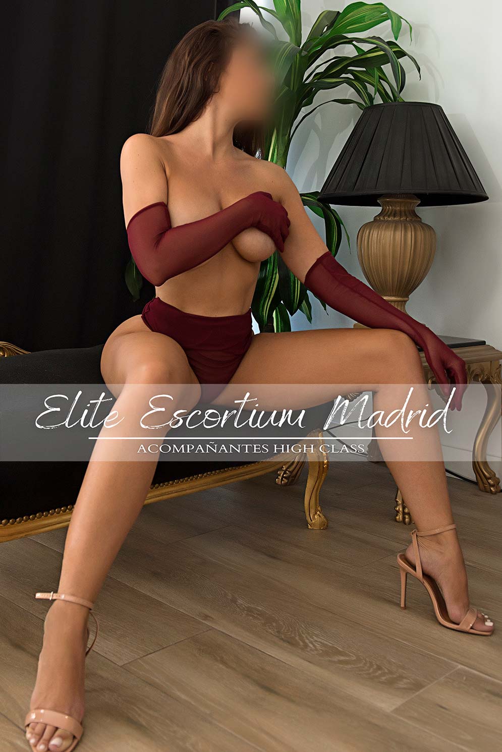 High Class Elite Sugar Girls